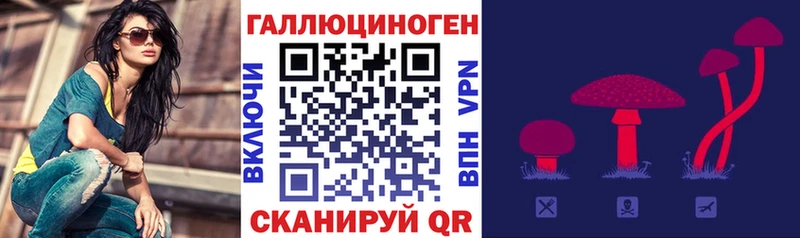 Галлюциногенные грибы Cubensis  Богородицк 